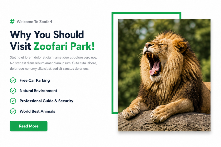 Zoo About Section Design Using HTML, Tailwind CSS