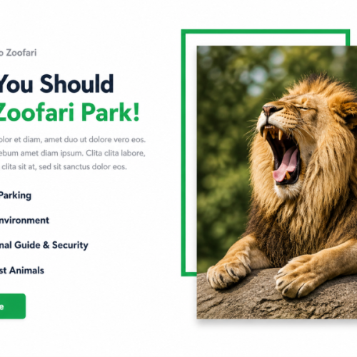 Zoo About Section Design Using HTML, Tailwind CSS
