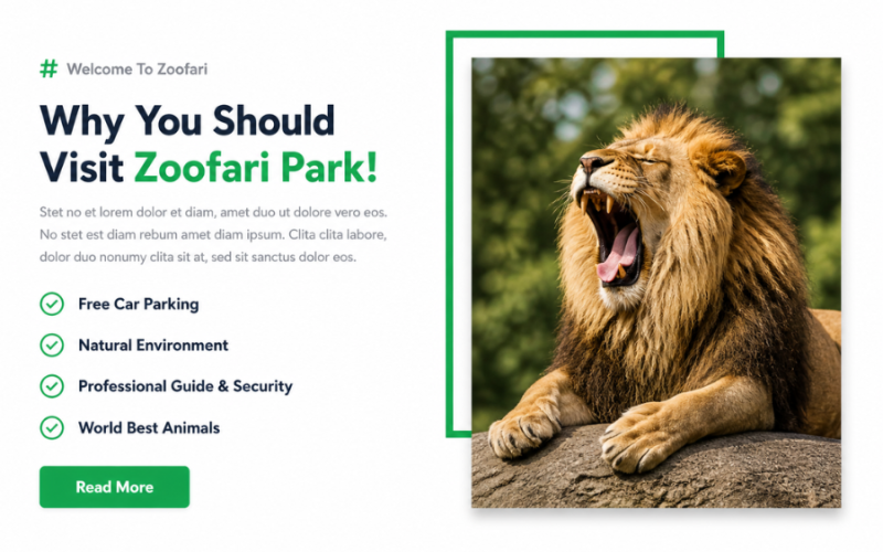 Zoo About Section Design Using HTML, Tailwind CSS